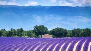 De Provence in Frankrijk