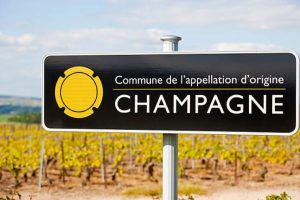 Moët en Chandon Champage Wijngaarden