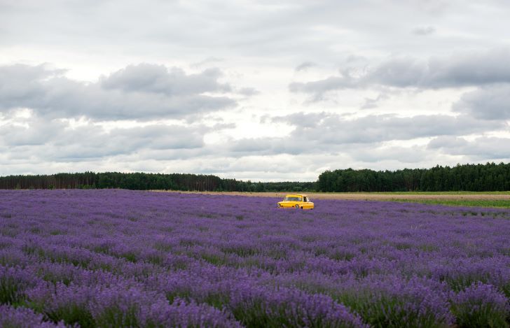 Camperen in Frankrijk